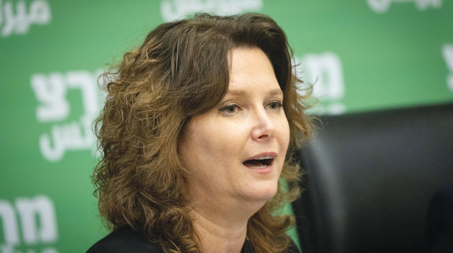 מיכל רוזין (צילום: יונתן זינדל, פלאש 90)