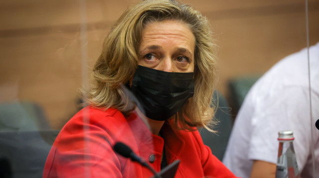 ד"ר שרון אלרעי-פרייס (צילום: דוברות הכנסת, נועם מושקוביץ)