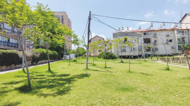 יער עירוני בקריית מלאכי (צילום: JNF UK)