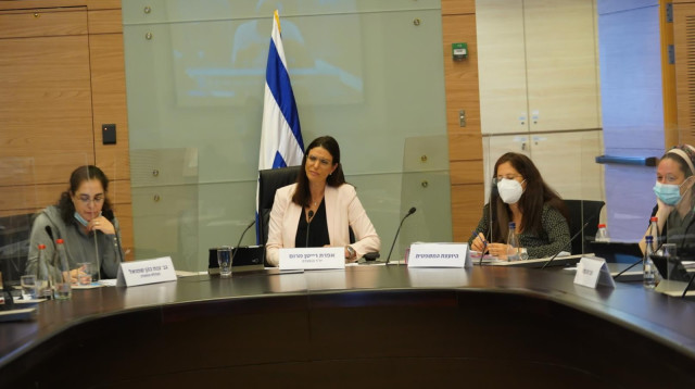 הדיון בועדת העבודה הרווחה והבריאות (צילום: דני שם טוב, דוברות הכנסת)