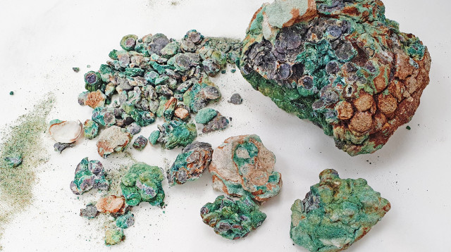 המטבעות העתיקים (צילום: כארם סעיד,  רשות העתיקות)