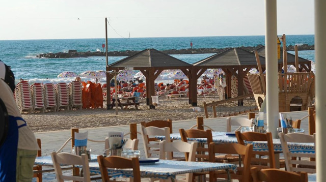 גרקו ביץ (צילום: אורי עשת)