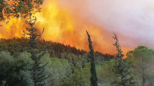השריפה בהרי ירושלים (צילום: גבי חכמון עובד קק"ל)