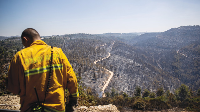כבאי בשריפה בהרי ירושלים (צילום: יונתן זינדל, פלאש 90)