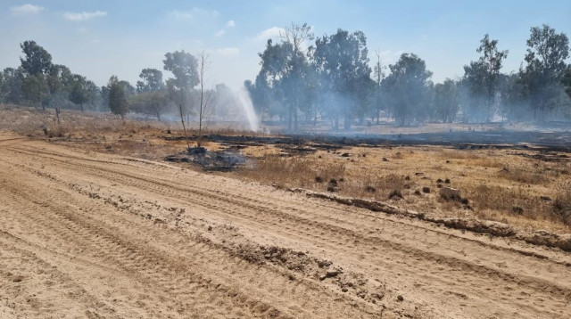 נזקי שריפה בעוטף עזה (צילום: משה ברוכי סייר ביערות קק״ל)