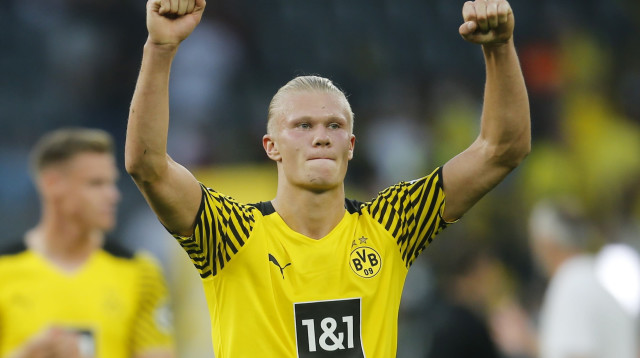 יחליף את לבנדובסקי בבאיירן? הולאנד (צילום: רויטרס)