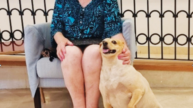 פאני בוימוביץ, דיירת מגדלי הים התיכון בכפר סבא המגדלת כלב (צילום: מגדלי הים התיכון כפ''ס)