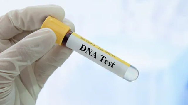 בדיקת DNA, אילוסטרציה (צילום: Getty images)