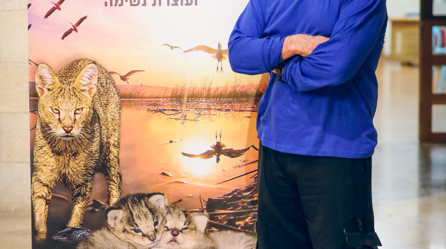 משה אלפרט (צילום: ארז ביטון)