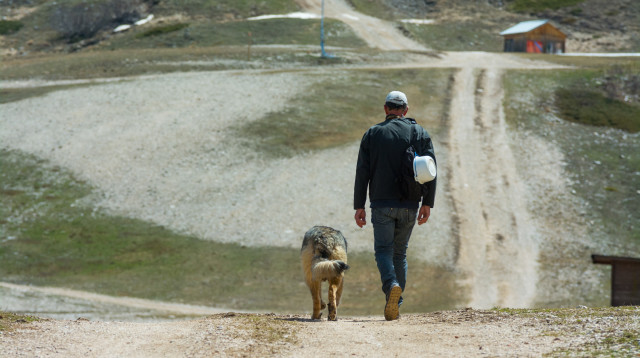 טיול עם הכלב, אילוסטרציה (צילום: ingimage/ASAP)