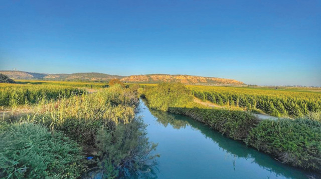נחל תנינים באזור המיועד לבנייה (צילום:  כרמית שלו לייפר)