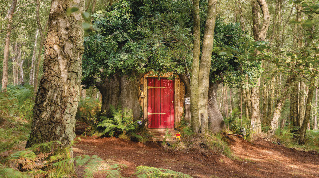 הבית הקסום של פו הדוב שעומד להשכרה (צילום: Airbnb)