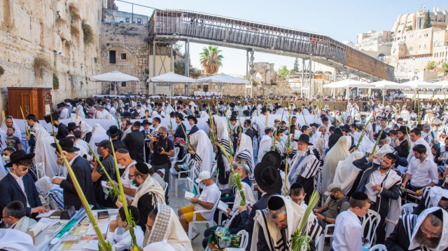 ברכת הכהנים בכותל המערבי (צילום: שלו שלום/TPS)