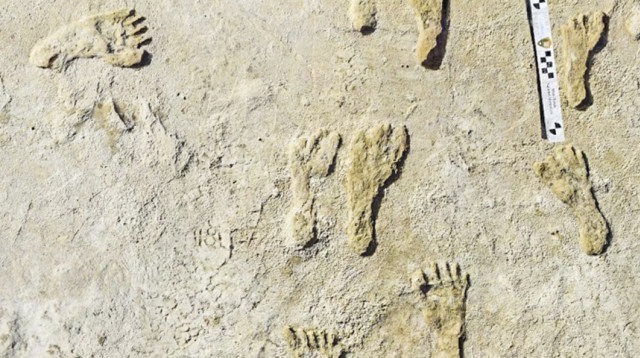 טביעות הרגליים. עדויות חדשות (צילום: National Park Service)