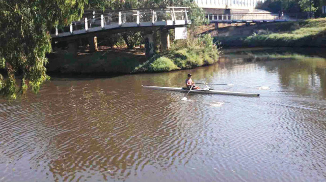 נחל הירקון (צילום: מיטל שרעבי)