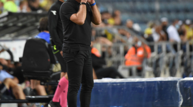 ריימונד אטפלד מאמן מכבי נתניה (צילום: ברני ארדוב)