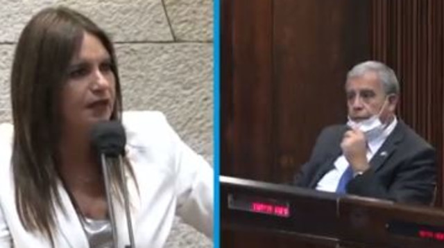 ח"כ קרן ברק, ח"כ מיקי לוי (צילום: צילום מסך ערוץ כנסת)