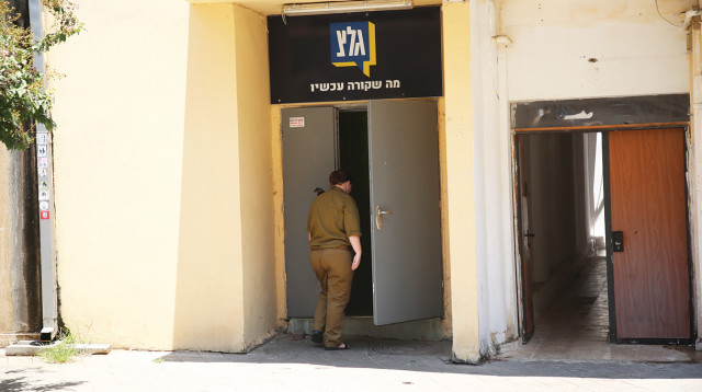 גלצ (צילום: אלוני מור)