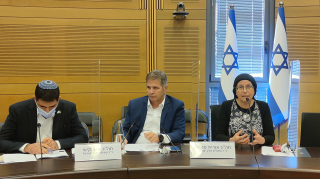 הדיון של שדולת ארץ ישראל בכנסת בעקבות הצעת החוק של רע"מ  (צילום: שדולת ארץ ישראל )