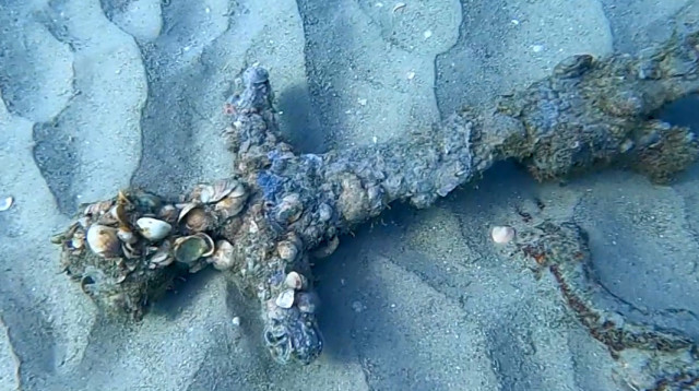 החרב שאותרה בקרקעית (צילום: שלומי קצין)