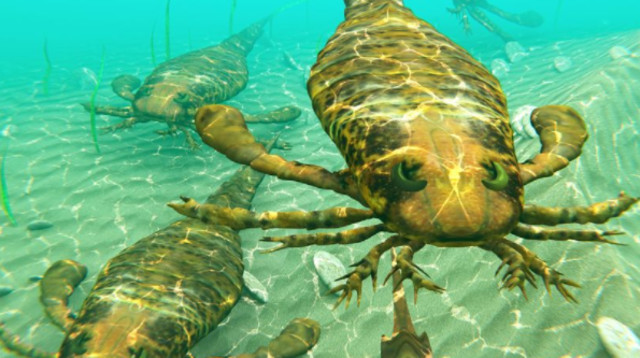 עקרב ים, אילוסטרציה (צילום: Getty images)