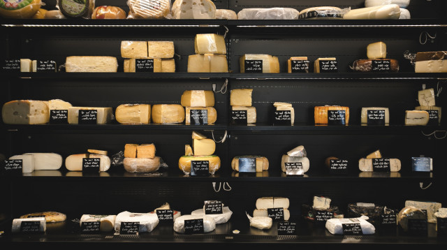 דלי וינו  (צילום: ליה גלדמן)