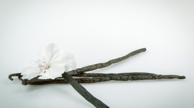 וניל (אילוסטרציה) (צילום: אינגאימג')