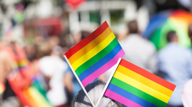 דגלי הלהט"ב (צילום: אינגאימג')