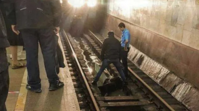 הגופה של אליגן עזיזוב על פסי הרכבת בזירת האירוע (צילום: Skhodnenskaya metro station)