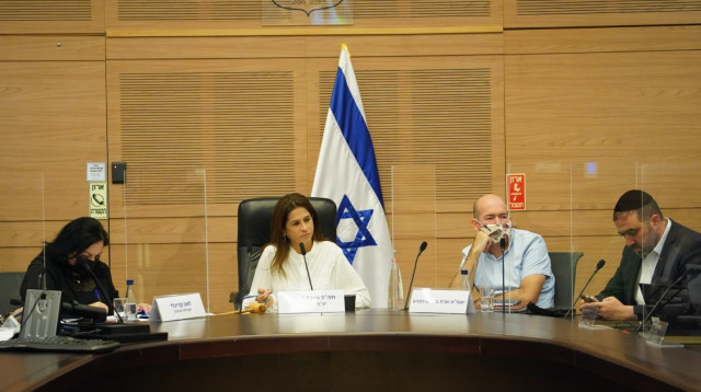 הוועדה לביטחון פנים (צילום: דני שם טוב, דוברות הכנסת)