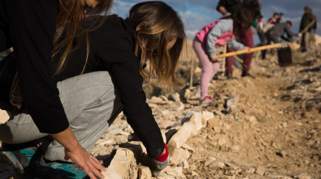 פסטיבל קיימות ותרבות בכסייפה (צילום: דן פרברוף)