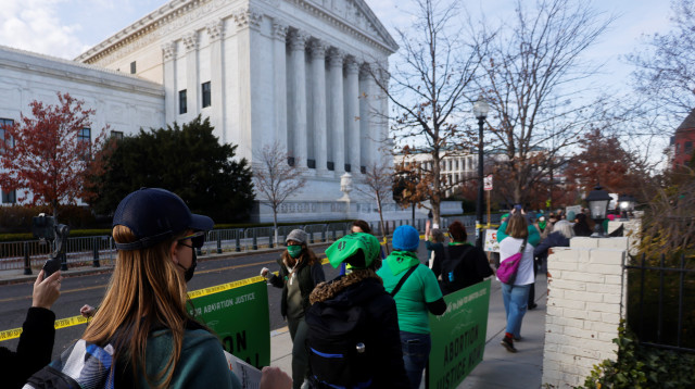 הפגנה נגד הפלות בארה"ב (צילום:  REUTERS/Jonathan Ernst )