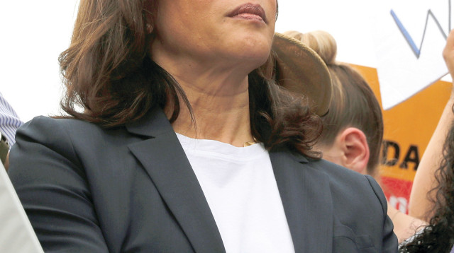 קמלה האריס (צילום: רויטרס)