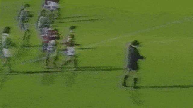 אריק קאנטונה מורחק במשחקו האחרון בליגה הצרפתית (צילום: צילום מסך, טוויטר)