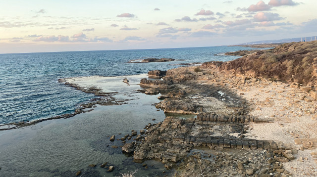 עתיקות תל דור (צילום: מיטל שרעבי)