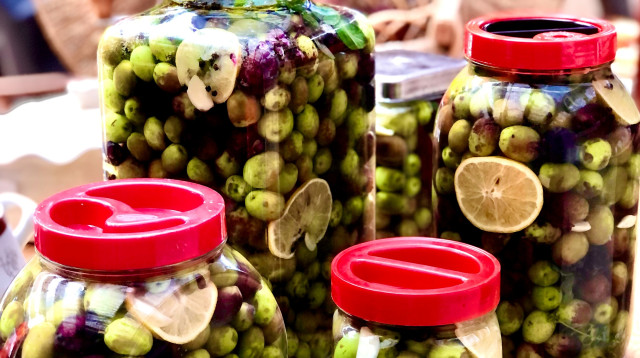 די לכיבוששששש (צילום: פסקל פרץ-רובין)