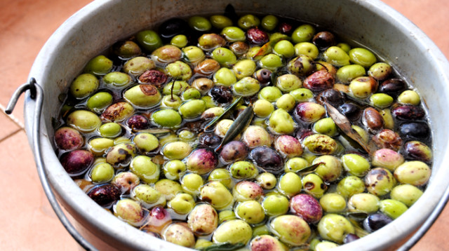 זיתים  (צילום: פסקל פרץ-רובין)