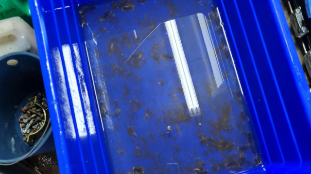 הברחת סרטנים לישראל (צילום: משרד החקלאות ופיתוח הכפר)