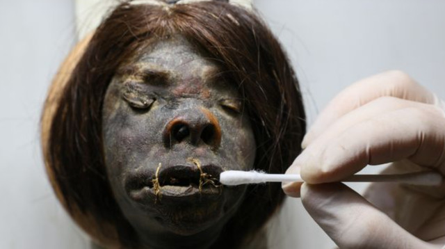 גולגולות קטנטנות התגלו במחסן בטורקיה (צילום: רויטרס)