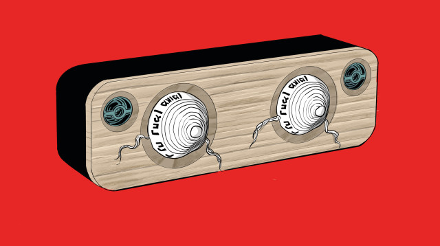 המסר של הרבי נחמן  (צילום: איור: אורי פינק)