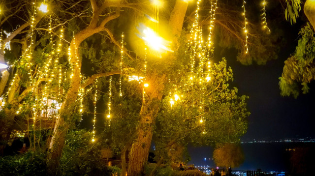 פסטיבל הכריסמס בחיפה (צילום: ענת סלומון, דוברות עיריית חיפה)