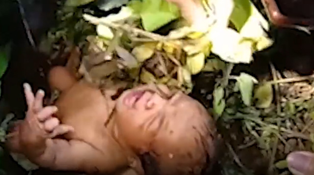 תינוקת נטושה נמצאה ביער  (צילום: צילום מסך מתוך רויטרס)