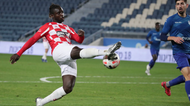 סינטיהו סלליך (צילום: דני מרון)