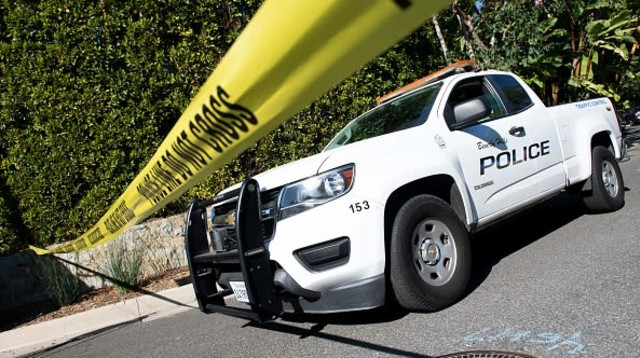 כוחות משטרה (צילום: VALERIE MACON / Contributor)