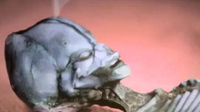 שלד התינוק החנוט (צילום: Sirius Disclosure)