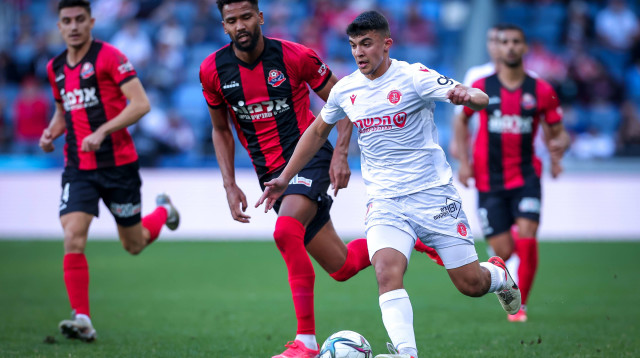 הוחלף וחזר הביתה? טאפוקו (צילום: מאור אלקסלסי)