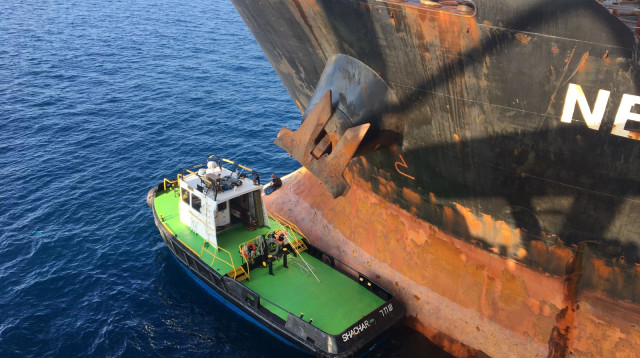 חילוץ החתול בנמל חדרה (צילום: חברת חשמל)