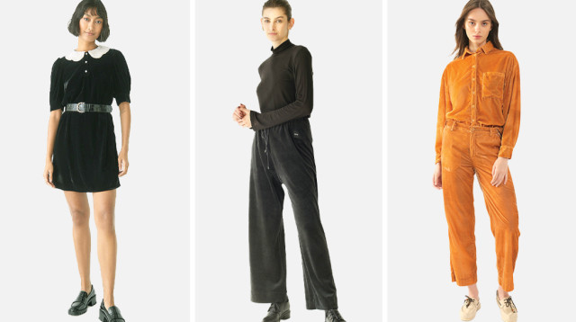 קטיפה (צילום: יח"צ,שי יחזקאל)