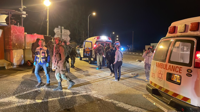 חלמיש (צילום: TPS)