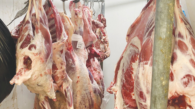 בשר משחיטה שחורה (צילום: דוברות המשטרה)